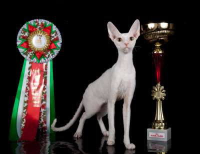 �������� ����� '������� ���-�����' 30 ������-1 ������� 2013� 137_best1-4_IMG_4604 copy.jpg